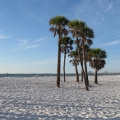 Clearwater, Florida 